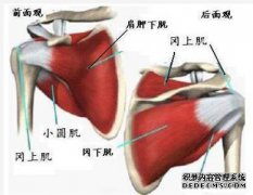 在帮派肌肉疼痛下会发生什么？