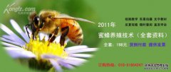 蜜蜂繁殖技术春季管理（下）